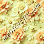Colour:K