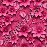 Colour:B