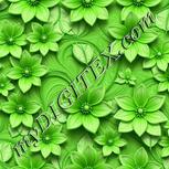 Colour:D