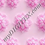 Colour:B