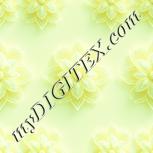 Colour:K