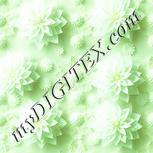 Colour:K