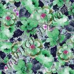 Colour:B