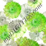 Colour:D
