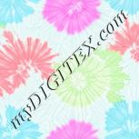 Colour:B
