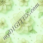 Colour:K
