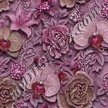Colour:B
