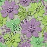 Colour:D