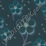 Colour:F