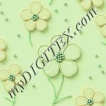 Colour:K