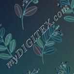 Colour:F