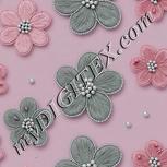 Colour:B