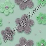 Colour:C