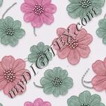 Colour:B