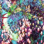Colour:C