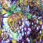 Colour:D