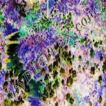 Colour:F