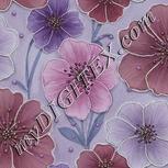 Colour:C