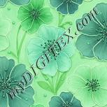 Colour:K
