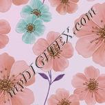 Colour:B