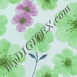 Colour:C
