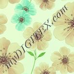Colour:K