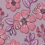 Colour:B