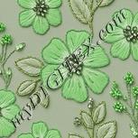 Colour:D