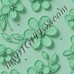 Colour:C
