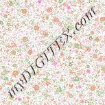 Colour:B