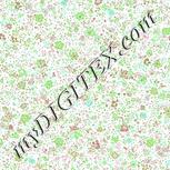 Colour:C
