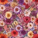 Colour:A