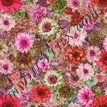 Colour:B