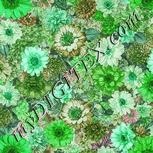 Colour:C