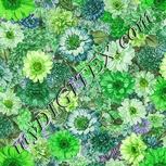 Colour:D