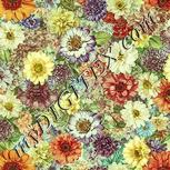 Colour:K