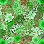 Colour:C