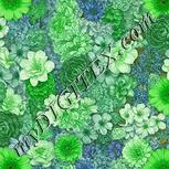 Colour:D