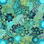 Colour:F
