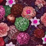 Colour:B