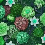 Colour:C