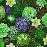 Colour:D