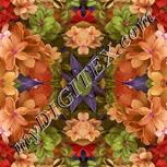 Colour:B