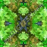 Colour:C