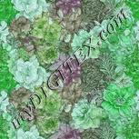 Colour:C