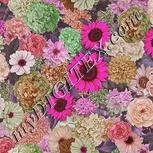 Colour:B