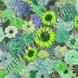 Colour:D