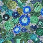 Colour:F
