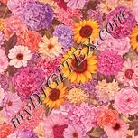 Colour:J