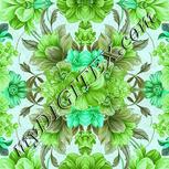Colour:C